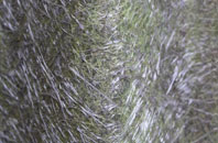 Nonikiln fibreglass roof work